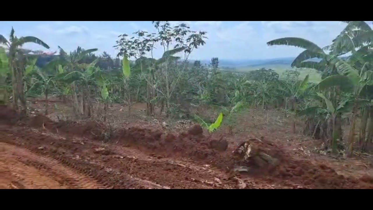 GURIKIBANZA KIDAHENZE NYAMATA MUMUGI MUNSI YA LAPARIS HOTEL 🛏️