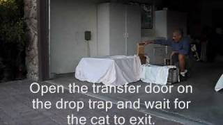 Step-by-step guide to transferring cats out of the Drop Trap