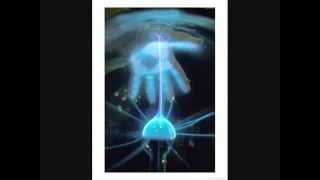 Won With Nature Lymphatic System Secrets Grounding