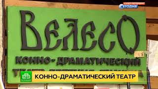 Лошадь в образе: как создаются спектакли в уникальном конном театре под Петербургом