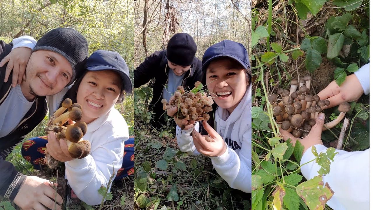 GINULAT KAMI NG MGA MUSHROOMS ANG DAMI! NGAYON LANG KAMI NAKAKUHA NG GANITO.