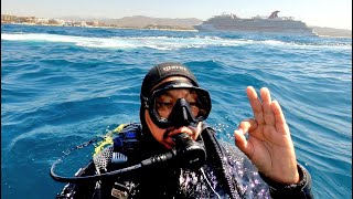 Alfonso Enriquez @Los Cabos Mar de Cortes  w/ Stone Fish.