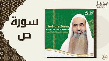 الشيخ احمد الحواشي  - سورة ص