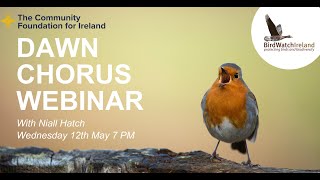 Birds Connect Dawn Chorus Webinar -  12th May 2021 by BirdWatchIreland 1,592 views 2 years ago 1 hour, 39 minutes