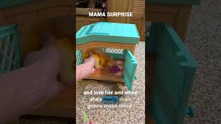 Mama Surprise Guinea Pigs Interactive Toy Review