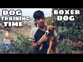 3 month's Boxer dog training in nepal ( #1 week dog training challenge)