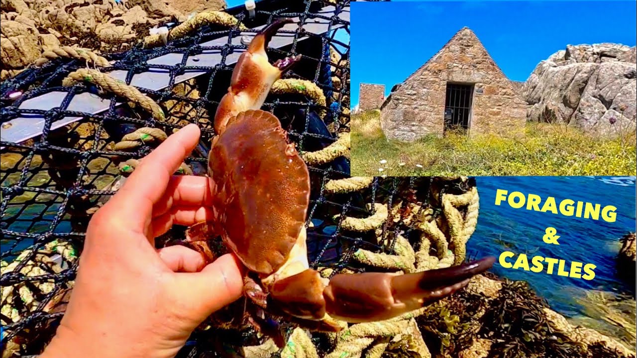 COASTAL FORAGING , Brown Edible Crabs , CRAB POT Check & CASTLES