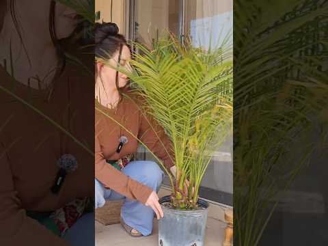 Isn’t she cute!? #shortsviral #gardening