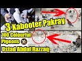 My Life Live Lesson With Ustad Abdul Razzaq Pigeon Loft Lalband Gahghry Sherazi | 3 Kabooter Pakray