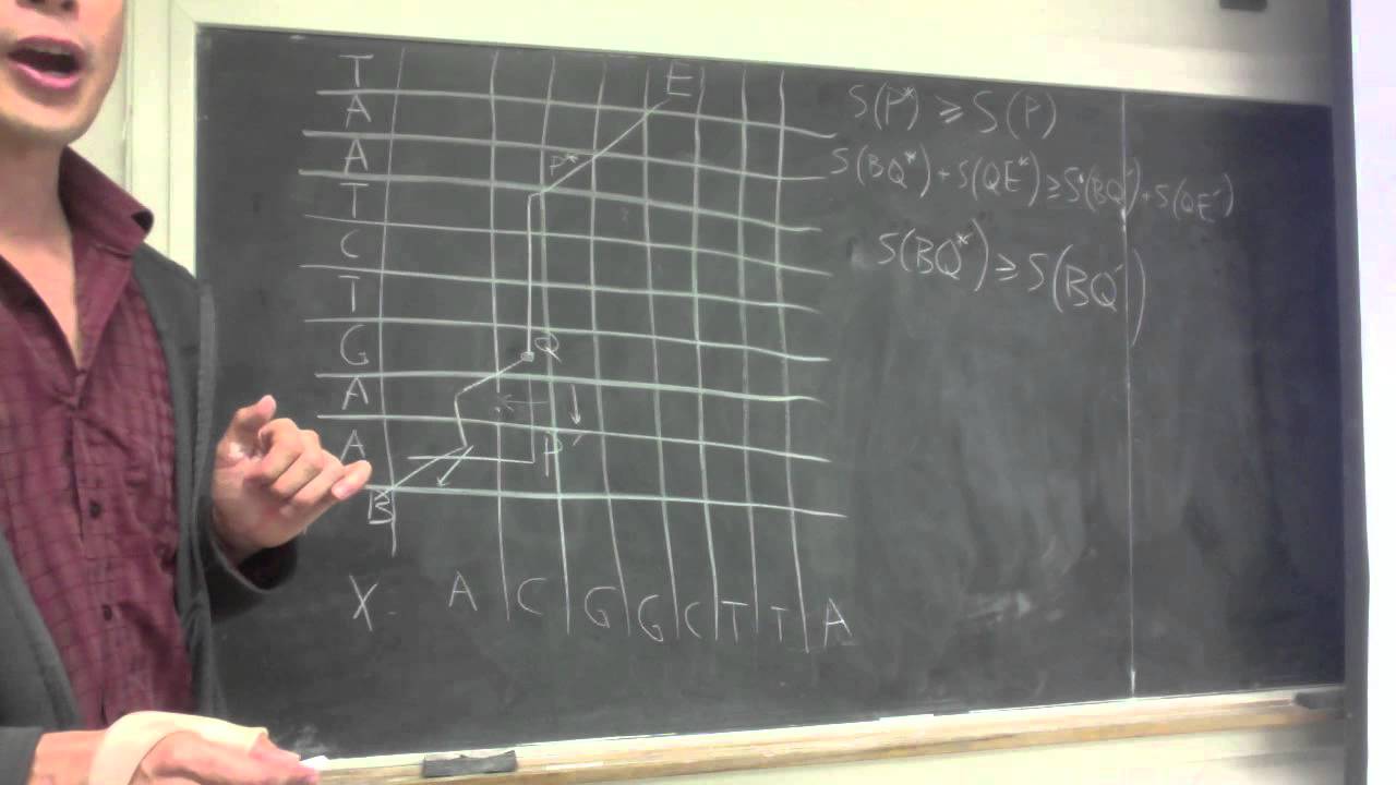 Dynamic Programming Alignment - YouTube