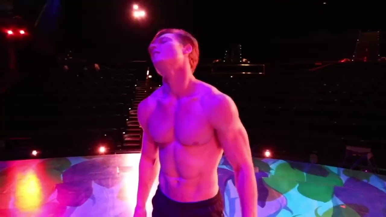 Aerial Straps   Dima Deyneko   BUZZFEED   Cirque du Soleil