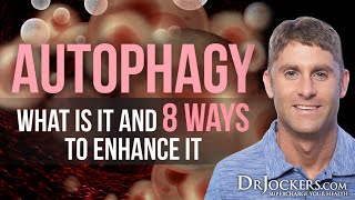 Autophagy:  What is it and 8 Ways to Enhance It