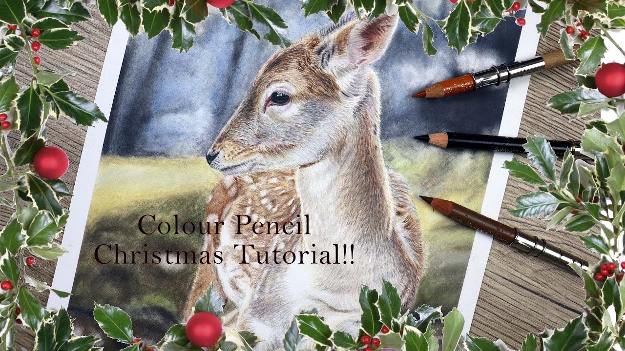 Christmas Deer Colour Pencil Tutorial - YouTube