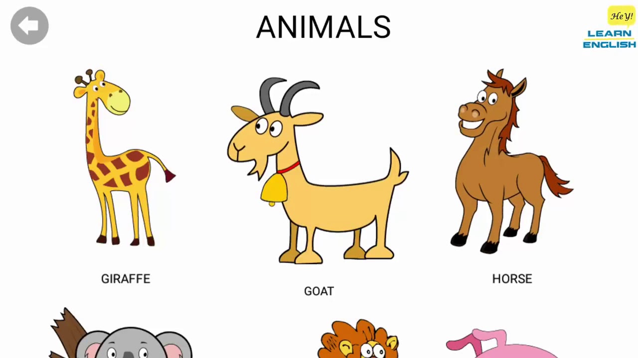 اسماء الحيوانات بالانجليزية للاطفال مع اللعب تعلم اللغة الانجليزية - Learn  English 350