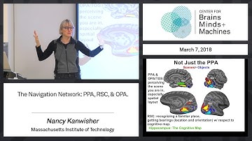 6.2 - The Navigation Network  PPA, RSC, & OPA