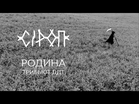 Видео: СiРОП — РОДИНА (трибьют ДДТ)