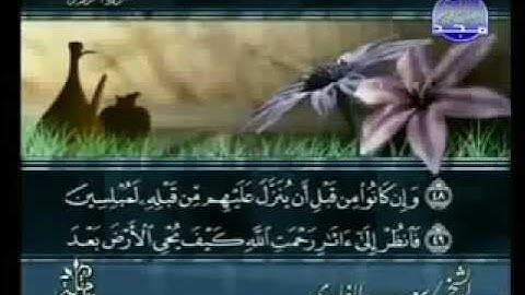 سورة الروم 30-سعد الغامدي