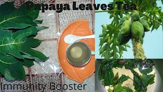 How To Make Papaya Leaves Tea || Natural Remedy For Dengue Fever, Viruses And For Cancer|| Super Tea