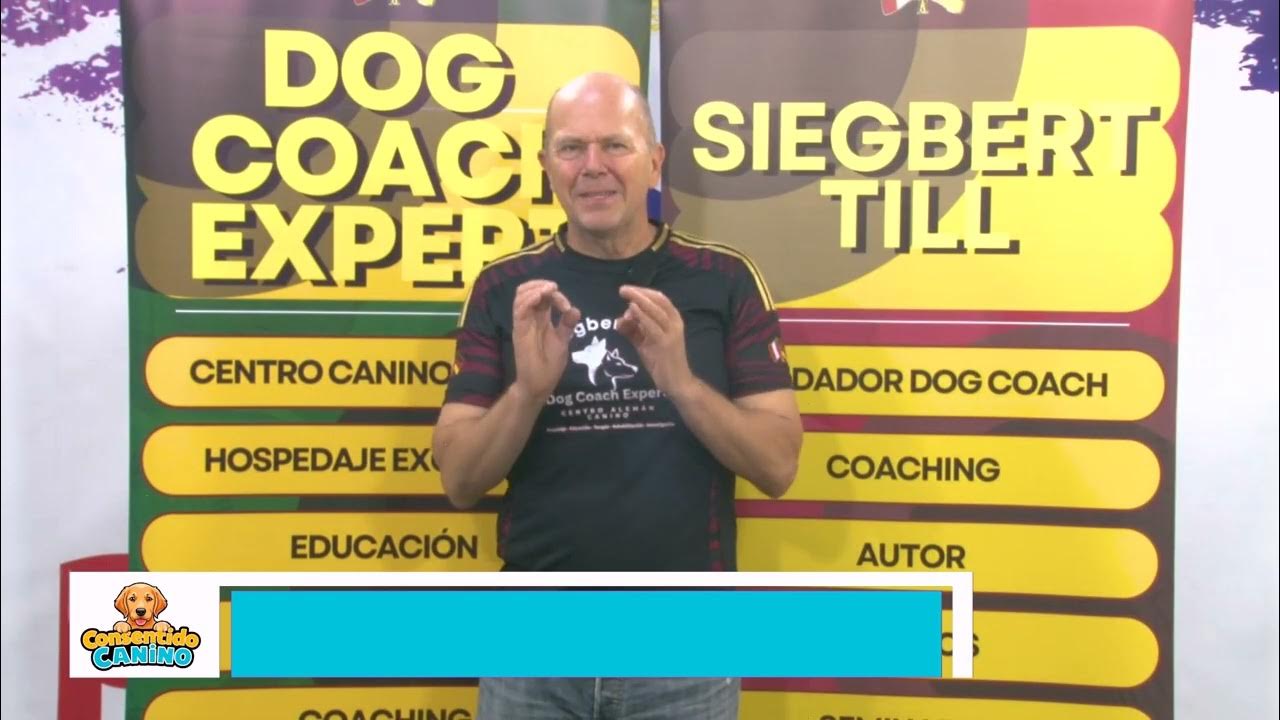 Perros Felices, Humanos Más Felices: Secretos Imprevistos del Adiestramiento Canino en Positivo