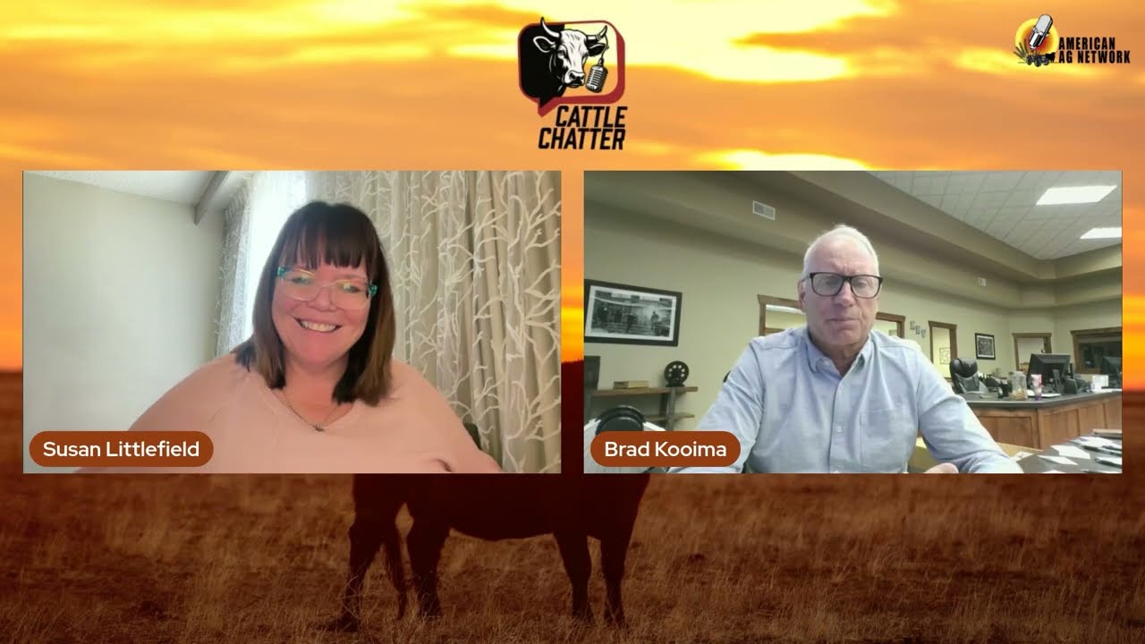 Cash Cattle Surge as Tight Supplies Fuel Bull Market | 4/30/26 Cattle Chatter