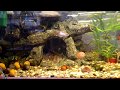 Мой аквариум (Aquarium) 100 литров