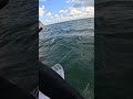 Windsurfing Jump 7 Raw POV #Shorts
