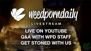 WPD LIVE - Saturdaze Sessions 10/24/15