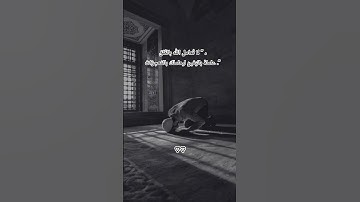 💝🥀🚶‍♂️ #قرآن #اكسبلور #المصحف #اسلام_صبحي #تلاوات #حالات_واتس #لايك #قران_كريم