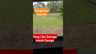 Download Lagu #viral #shorts #hijrah #suaramerdu #tilawahmerdu #viral #fyp #ngajimerdu #mtq MP3 Download Lagu #viral #shorts #hijrah #suaramerdu #tilawahmerdu #viral #fyp #ngajimerdu #mtq MP3