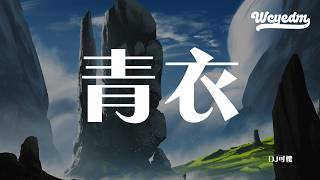 DJ可楼 - 青衣 「听戏人叹流年忆往昔」【動態歌詞/pīn yīn gē cí】【動態歌詞/Lyrics Video】 #DJ可楼 #青衣 #動態歌詞