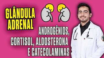 Como acontece a interação entre a glândula Supra-renal com sistema nervoso simpático?