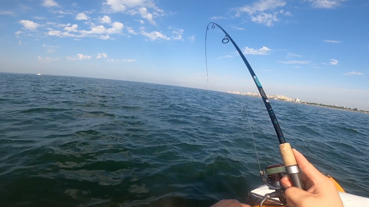 Looking for Fluke in the Summer HEAT! NYC Kayak Fishing YouTube