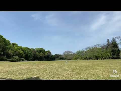 すんや君初ラウンド！in不知火カントリー