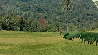 Nadilawesingjangan Tinggalkan Aku