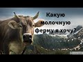 Какого типа молочную ферму выбрать?