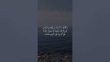 سورة الزخرف (19-24)