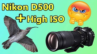 Nikon D500 and High ISO = Noisy Photos