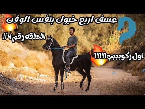 شرح كيف ركوب العسيف ؟ | تطبيق على اربع خيول !! | سلسة العسف 4#