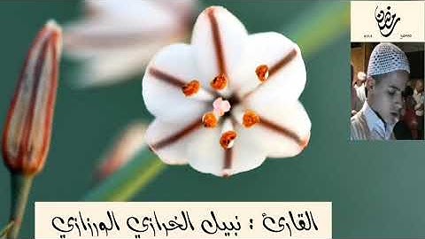 ج-2 القارئ : نبيل الخرازي الورزازي تراويح رمضان 1440 هج 2019 الليلة الثانية  مسجد الزرهونية الصغير