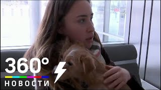 Россиянка спасла щенка от съедения в Китае Россиянка спасла щенка от съедения в Китае