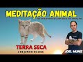 TERRA SECA - 2 DE JUNHO - MEDITAÇÃO ANIMAL