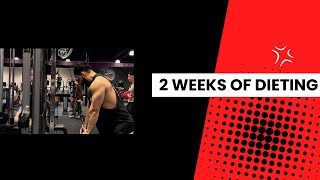 Cutting Vlog 2 full day of eating and training