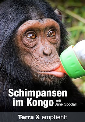 Schimpansen im Kongo mit Jane Goodall | Doku HD | ARTE