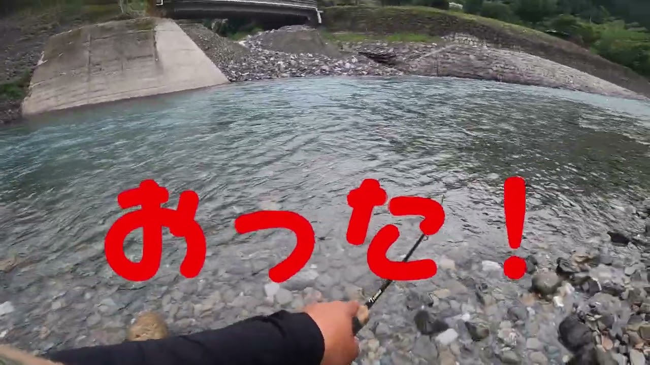 清流川辺川ヤマメ釣り