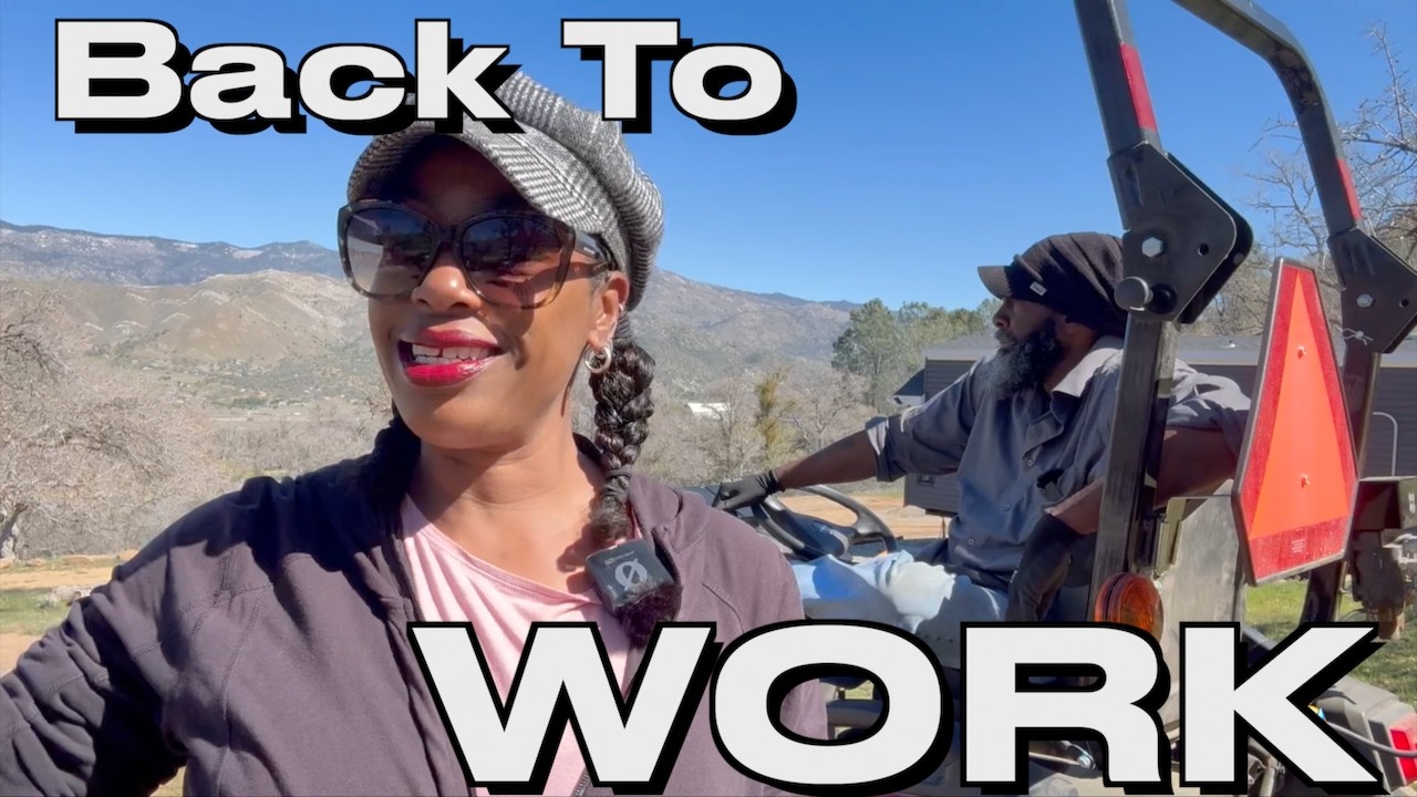 Бури наконец-то закончились… Давайте возвращаться к работе! 😬