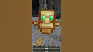 Why Totem No Work In Void