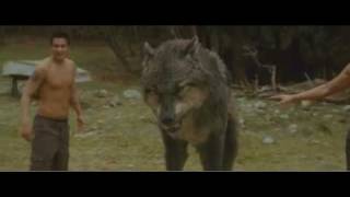 New Moon Official Scene Bella & Wolfpack
