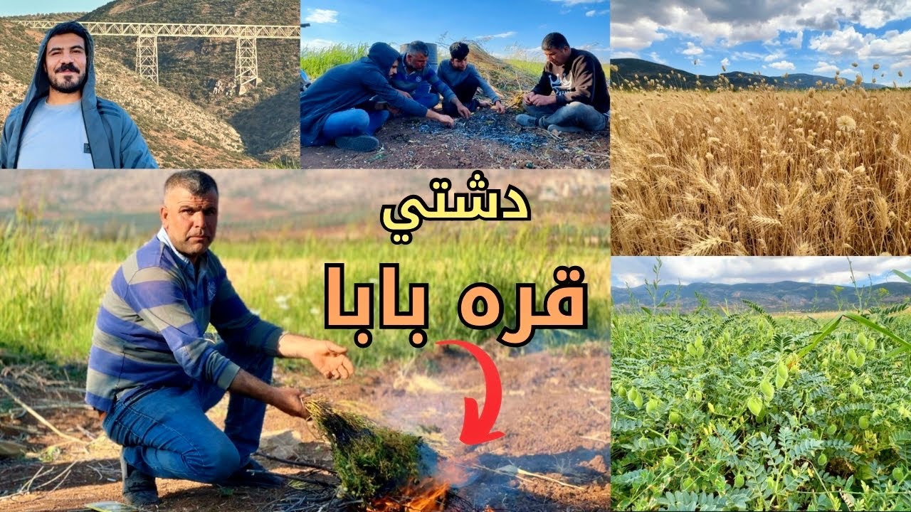 طبيعة الريف العفريني ولا أروع في دشتي قره بابا مع اطيب ناس