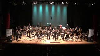 Finnish Symphonic Wind Professionals / Kathryn Salfelder - Cathedrals