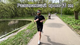 Подготовка к марафону. Развивающий кросс 10 км   #марафон #спорт #running #полумарафон